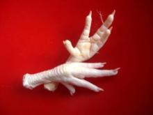 Grade A Processed Chicken Feet