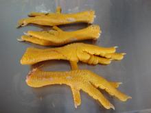 Unprocessed Chicken Feet
