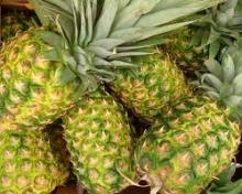 Fresh Pineapples