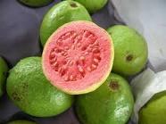 Fresh Guava