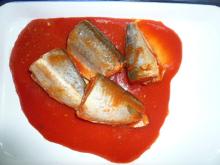 canned mackerel in tomato sauce