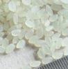 Japonica round rice