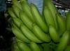 Fresh Cavendish Banana