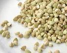 buckwheat extract,Grop2012,Inner Mongolia,CN