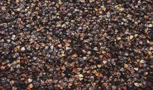Raw buckwheat with husk,Low Price
