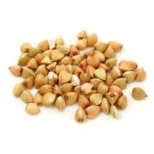 Roasted buckwheat kernels wtih top quality & competitive price,Grop 2012