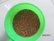 buckwheat price