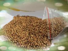 buckwheat roasted price