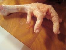 chicken feet