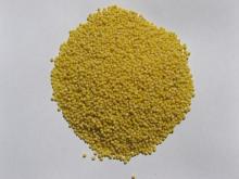 Millet 1 grade