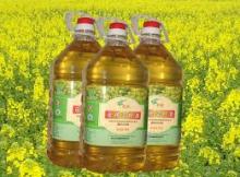 Rapeseed oil
