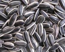 Sunflower seeds