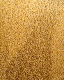 Yellow Millet