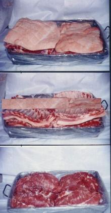 frozen pork meet for sale