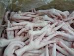 chicken feet and frozen chicken paws