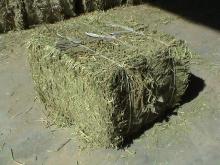 alfalfa hay bales