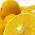 BUY QUALITY YELLOW LEMONS
