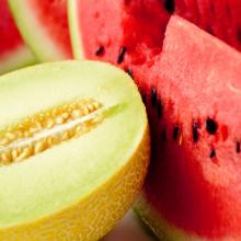 Watermelon, Melon, Galia, Cantaloup
