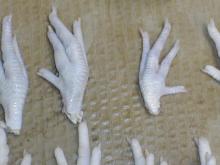 Chicken Paws