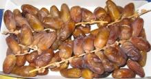 Tunisian Dates