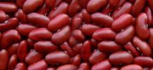 Red Kidney Beans