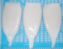 Squid Tubes