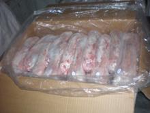 whole Rabbit meat