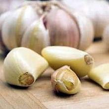 ONIONS AND GARLIC