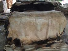 wet and dry salted cow hides for sale