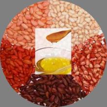 Peanut Oil