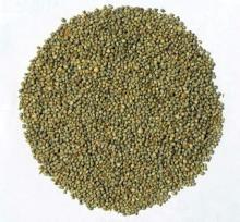 MILLET