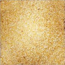 SORGHUM