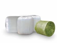 Corn Silage