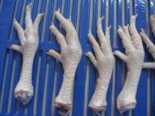 Frozen Chicken Feet,other parts