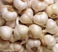 GARLIC MEAL