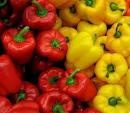 yellow peper