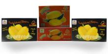 WE EXPORT FRESH MANGOES,MANDARIN,ONION,POTATOES
