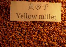 Chinese Yellow Millet