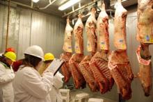 Frozen Meat