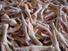 frozen chicken