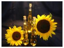 Crude Sunflower Oil, Unrefined Sunflower Oil......