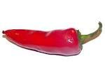 red pepper