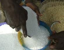 we are a manufacturer and supplier of cassava starch,potatoes starch and corn st