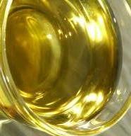Moringa Oleifera oil