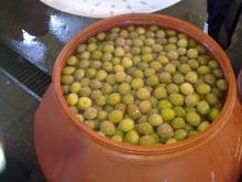 export olives in barrel from egypt