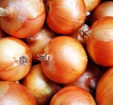 fresh onions