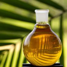 sunflower oil for sale