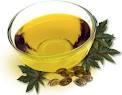 sunflower oil,rapeseed oil,palm oil and other related oil