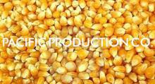 Yellow Corn