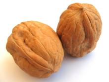 walnut